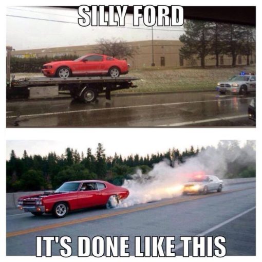 silly-ford